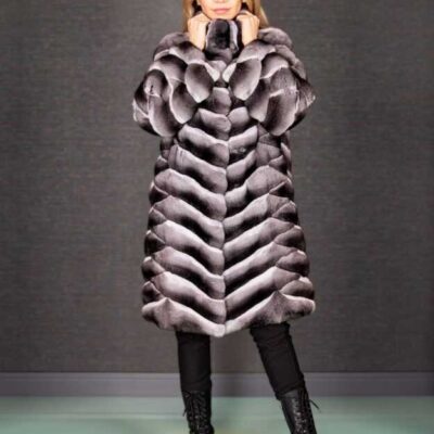 Chinchilla prices from 4000 $