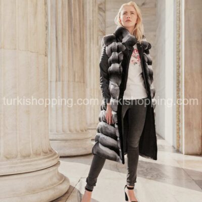 Chinchilla prices from 4000 $